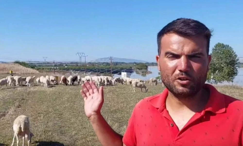 Λάρισα: Σε απόγνωση κτηνοτρόφος που φοβάται για τα ζώα του